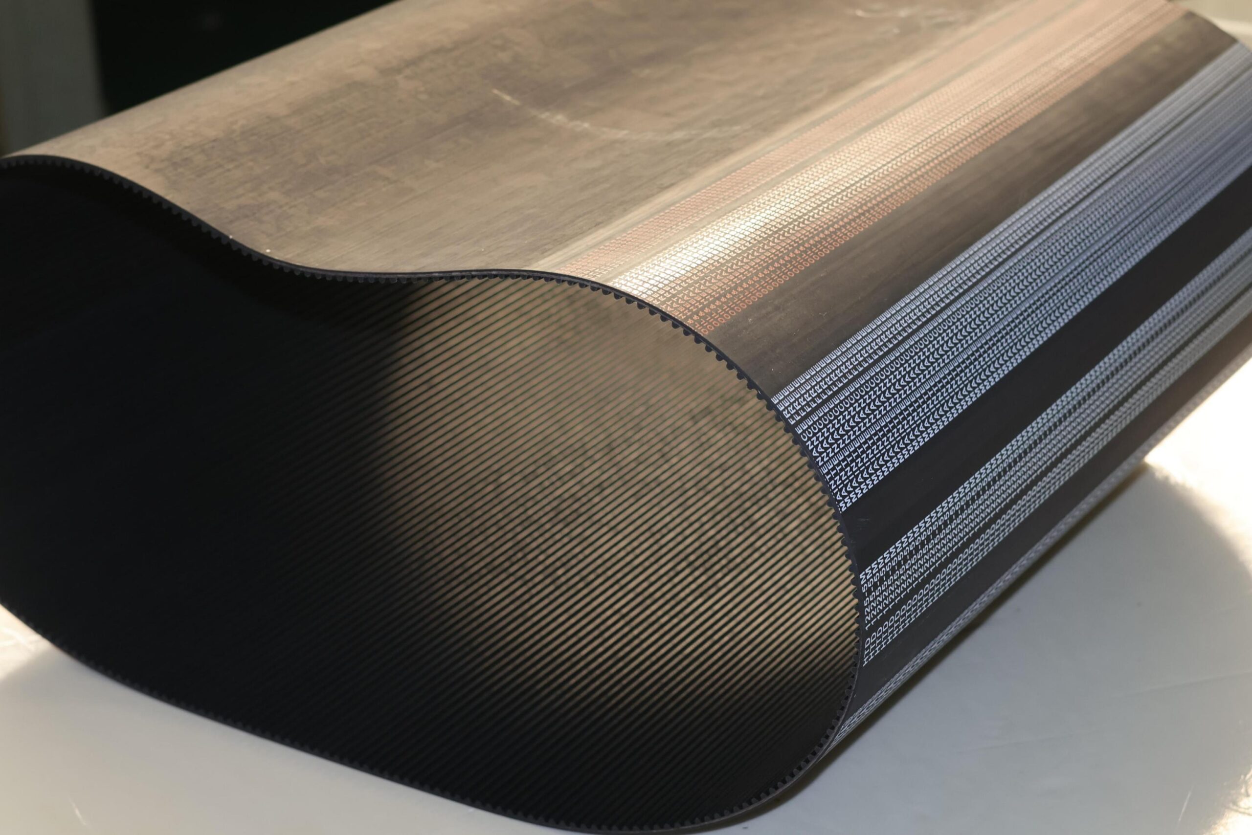 correa de distribución correa síncrona